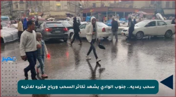 سحب رعدية.. جنوب الوادي يشهد تكاثر السحب ورياح مثيرة للأتربة